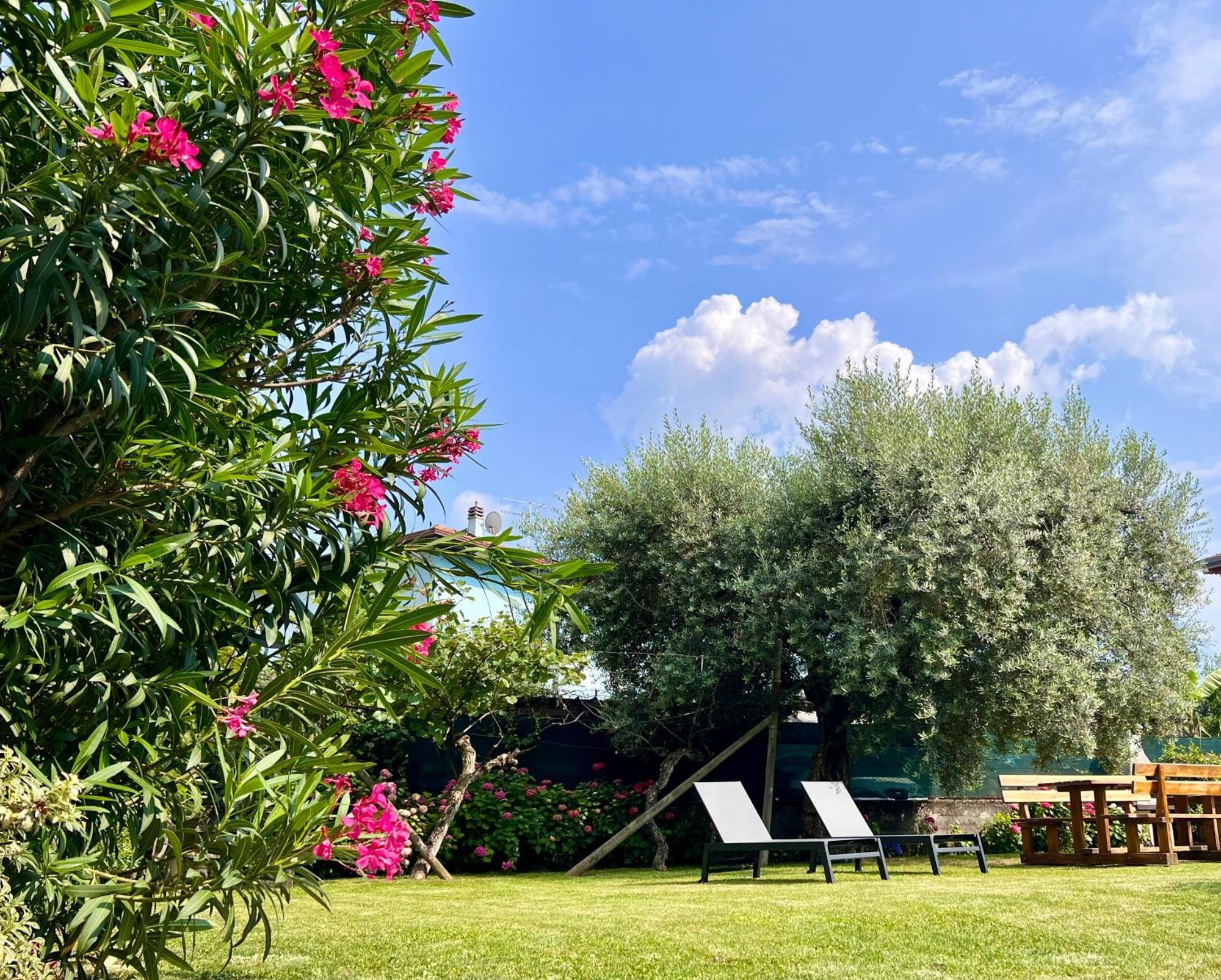 Villa Verde Riva del Garda Exterior foto